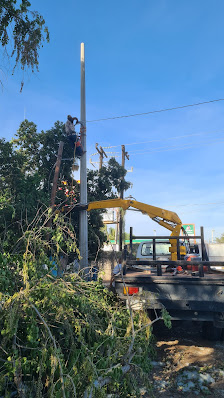 Servicio De Grua Y Renta De Plantas Kanapes